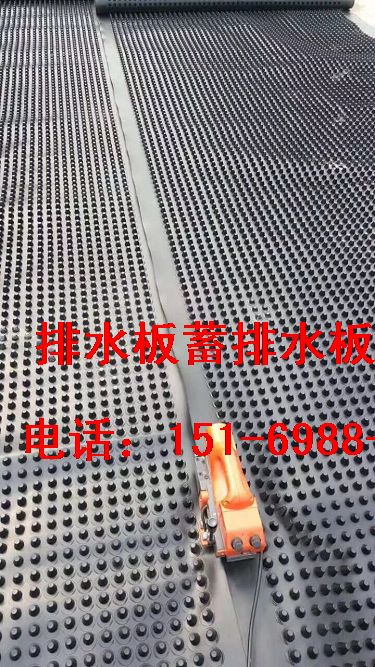 株洲2公分綠化蓄排水板//蕪湖1.5公分車庫排水板-- 泰安市澤瑞土工材料有限公司