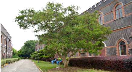 QQ圖片20180712143446