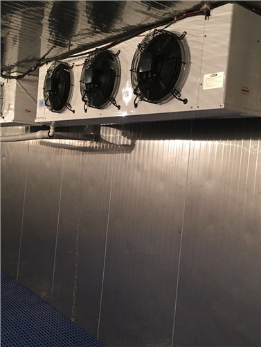 廈門小型冷凍庫廠家|廈門小型冷凍庫設(shè)備廠家 明盛興供-- 廈門市明盛興工貿(mào)有限公司