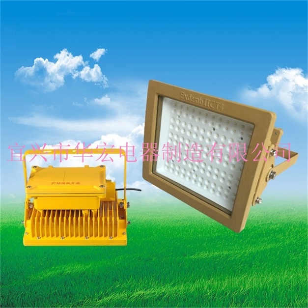 BAD808-L3 防爆泛光燈led led防爆加油站燈