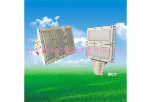 SZSW7350 防爆LED泛光燈 led雙臂防爆路燈價格