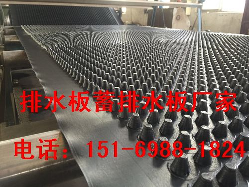 幅寬2米~新余車庫疏水板%景德鎮30公分蓄排水板-- 泰安市澤瑞土工材料有限公司