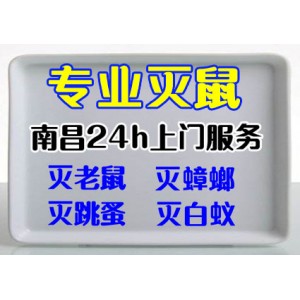 南昌殺蟲公司 南昌滅鼠公司 南昌滅蟑