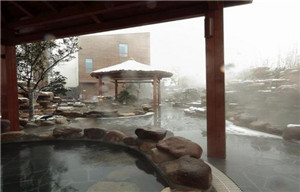 專(zhuān)業(yè)溫泉人造霧噴霧造景設(shè)備-- 深圳通寶環(huán)境技術(shù)有限公司