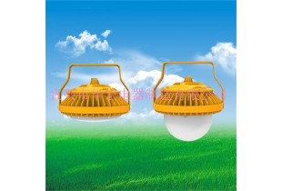 GCD812 隔爆型LED防爆燈 LED防爆泛光燈