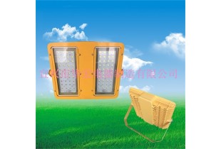 BFC8118-200W LED防爆投光燈 海洋王