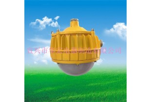 BPC8765 防爆吸頂燈 LED防爆平臺(tái)燈