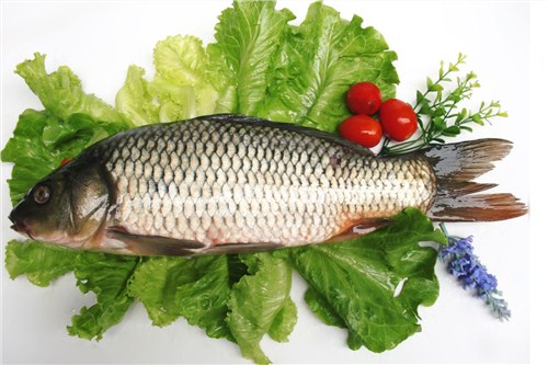 每日發(fā)車時(shí)效快 奔豹供 上海到三明冷藏運(yùn)輸專線-- 上海奔豹物流有限公司