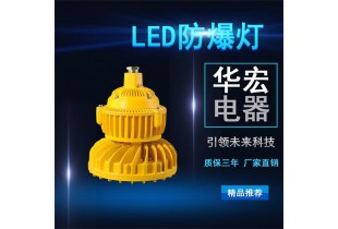 BAD808-M 高效節(jié)能LED防爆燈 立桿LED防爆燈