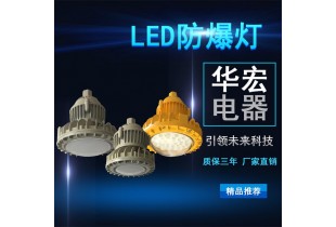 BAD808-M2 LED防爆燈 立桿LED防爆燈
