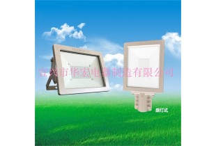 BAD808-L2 LED防爆泛光燈 100W 方形防爆燈具