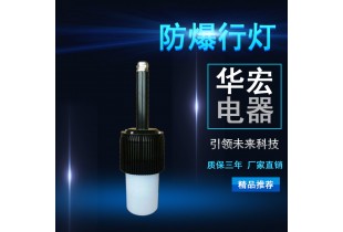 海洋王FW6320 防爆行燈