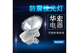 ZT6900 防水防塵防震投光燈