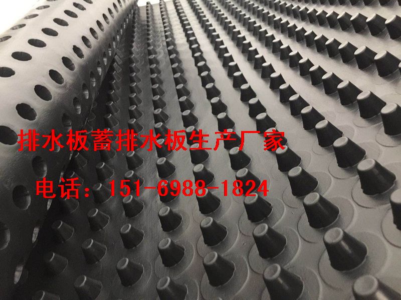 大量現貨北京2.5公分(蓄排水板)價格15169881824-- 泰安市澤瑞土工材料有限公司