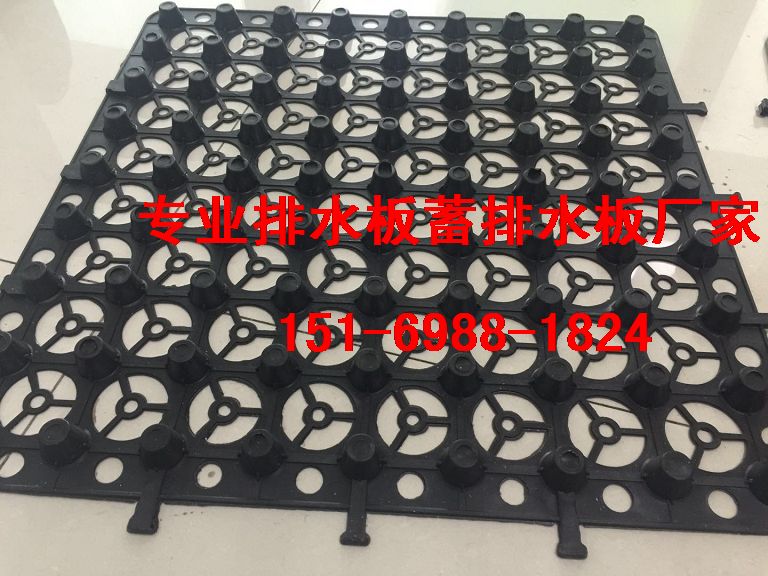 泰安綠泰2.5公分2公分3公分蓄排水板{廠家價格}-- 泰安市澤瑞土工材料有限公司