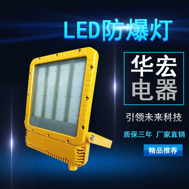 RLEEXL5330 LED防爆泛光燈