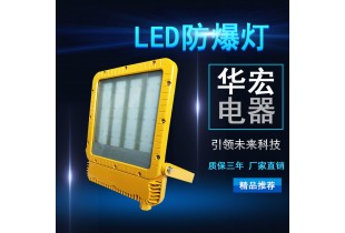 RLEEXL5330 LED防爆泛光燈