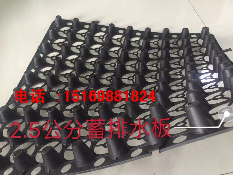 山東|泰安20高30高12高排水板廠家發貨-- 泰安市澤瑞土工材料有限公司