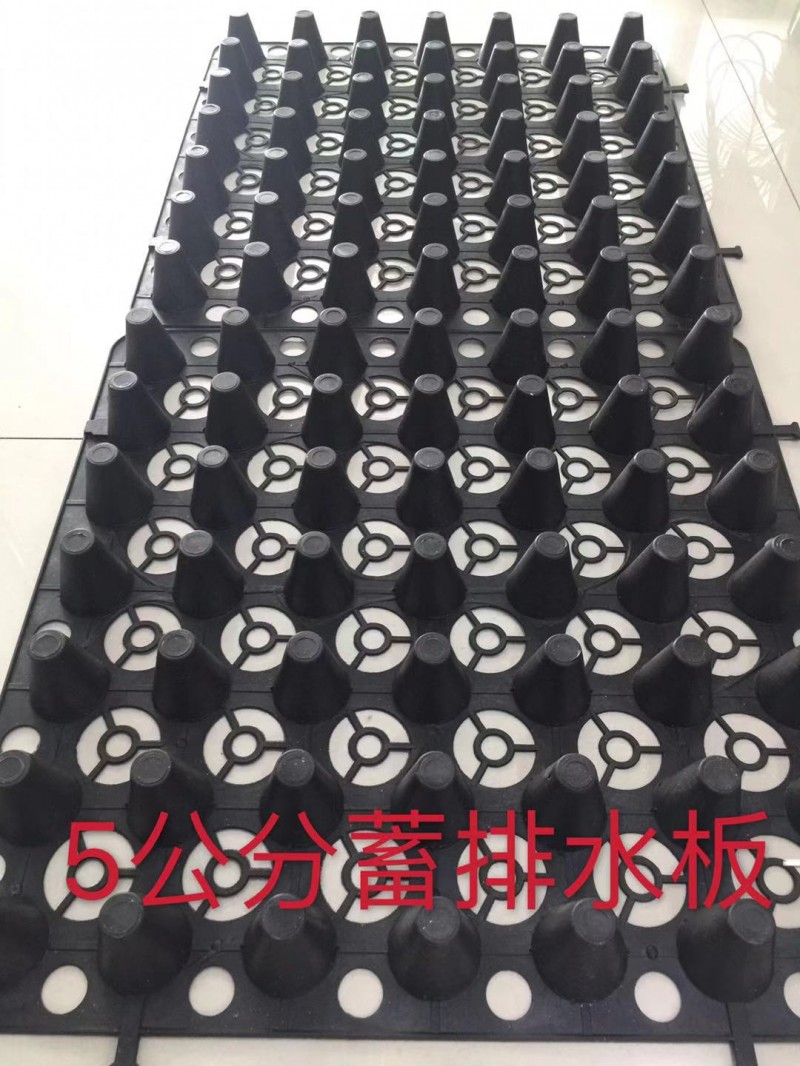 2公分車庫排水板湖南%長沙蓄排水板出廠價-- 泰安市澤瑞土工材料有限公司