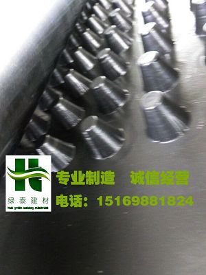 四川2公分車庫排水板