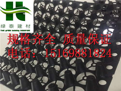 江西/贛州聚乙烯車庫排水板(2公分)綠化蓄排水板-- 泰安市澤瑞土工材料有限公司