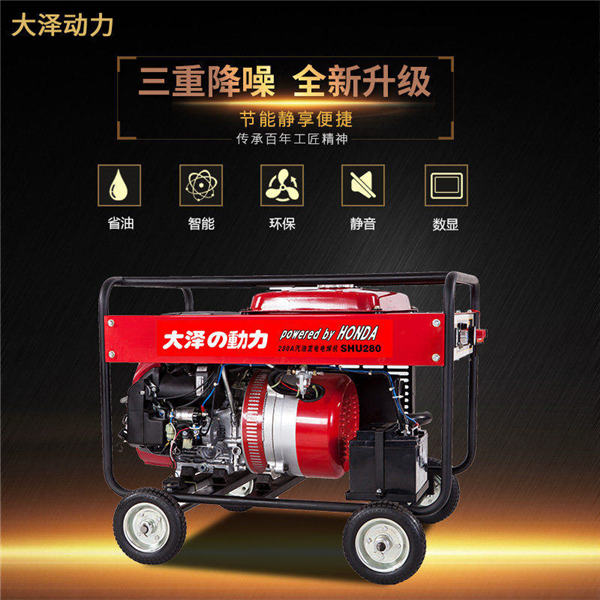 自發電280A汽油發電電焊機大澤動力-- 上海豹羅實業有限公司