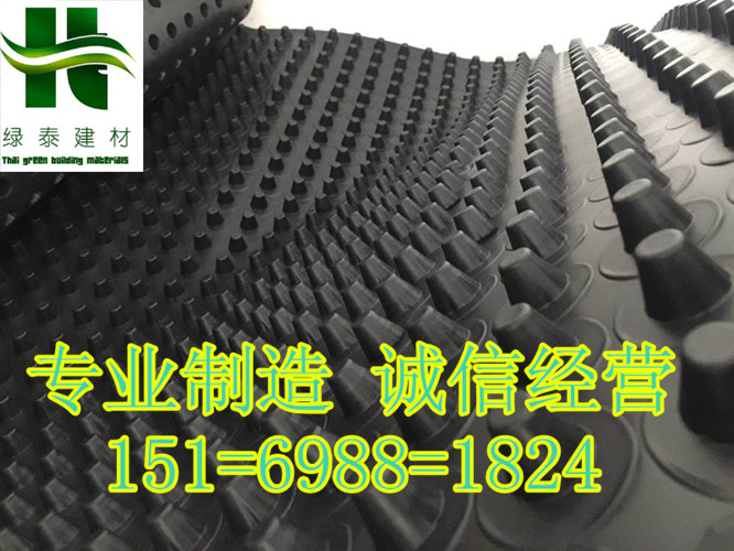 廣東省惠州20高30高車庫排水板_廠家送貨-- 泰安市澤瑞土工材料有限公司