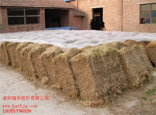 宿遷稻草秸稈采購|宿遷稻草秸稈供應商|瑞禾供-- 淮安瑞禾秸稈有限公司