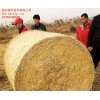 宿遷稻草秸稈加工價格 宿遷稻草秸稈