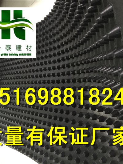 2公分六安耐根穿刺車庫蓄排水板15169881824-- 泰安市澤瑞土工材料有限公司