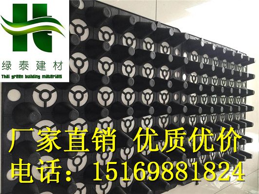 大連2公分蓄排水板大連20高車庫排水板15169881824-- 泰安市綠泰蓄排水板廠家