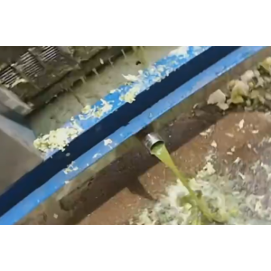 2019新型尾菜脫水_現場案例_尾菜脫水