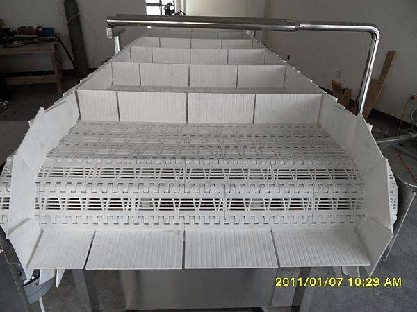 63寬度夾瓶鏈板提升機(jī)-- 上海帛溢自動化設(shè)備有限公司