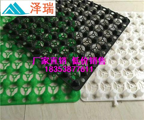 地下室排水板甘肅慶陽車庫排水板無紡布-- 泰安市澤瑞蓄排水土工材料有限公司