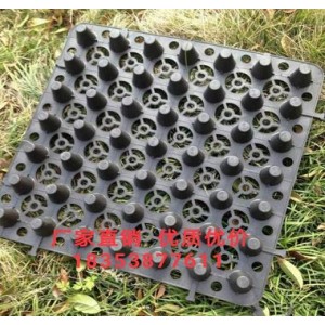 撫順25高蓄排水板+車庫透水板=泰安澤