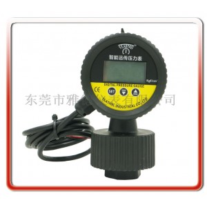 PP隔膜式數顯遠傳壓力表