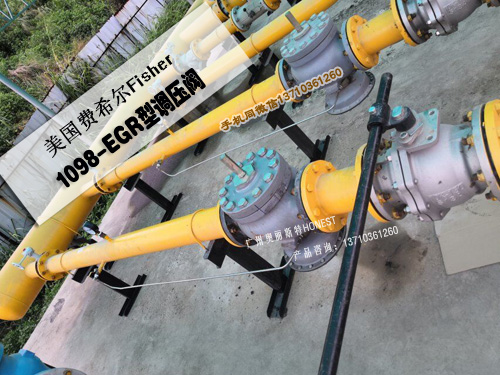 1098-EGR/6351穩(wěn)壓閥，1098備件包1098皮膜-- 廣州奧麗斯特燃氣設(shè)備有限公司