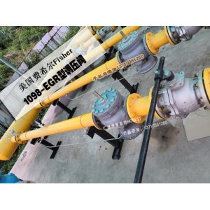 1098-EGR/6351穩壓閥，1098備件包109