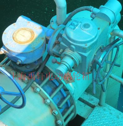 QDX3電動(dòng)軸連接蝸輪箱 輸出力矩Nm8000U閥門執(zhí)行器-- 上海禹軒泵閥有限公司