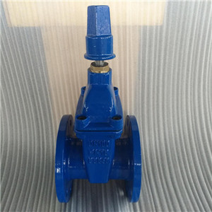 直埋式閘閥 軟密封 法蘭 方頭 井下排