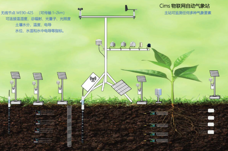 Cims物聯(lián)網(wǎng)綜合氣象站監(jiān)測(cè)土壤溫濕度-- 北京博倫經(jīng)緯科技發(fā)展有限公司