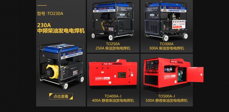 大澤動力柴油發電電焊機-- 上海仡維實業有限子公司