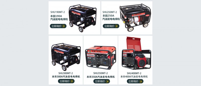 大澤動力汽油發電電焊機-- 上海仡維實業有限子公司