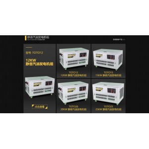 大澤動力靜音汽油發電機