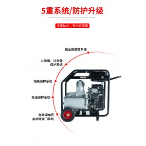 大澤動力內燃水泵機