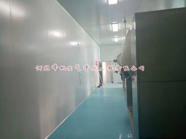 河北十萬級凈化車間食品廠房電子廠房制藥廠潔凈施工-- 河北峰帆空氣凈化工程有限公司