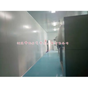 河北十萬(wàn)級(jí)凈化車間食品廠房電子廠房