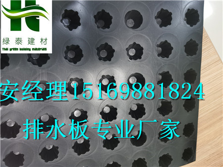 佛山車庫頂板排水板、江門12公分高車庫疏水板-- 泰安市澤瑞土工材料有限公司