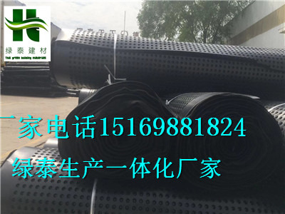 內蒙古包頭市3公分2.5公分高強)車庫排水板-- 泰安市澤瑞土工材料有限公司