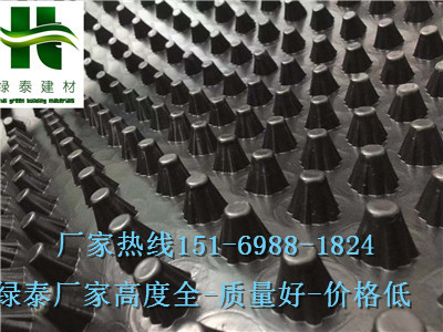 長春1.5公分車庫疏水板-長春1.2公分車庫排水板-- 泰安市澤瑞土工材料有限公司
